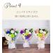 ���� �X�^���f�B���O �\�[�v�t�����[ �ԑ� M�T�C�Y �X�^���h�t ���ފ� ������ ���� ���~ ���� �~�� ���~�� ���̋� 60�� 70�� 80�� �֘A�摜5