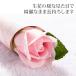 �͂�Ȃ��� 2026 �\�[�v�t�����[ ��� �o�� �v�` �ސE �v���[���g �v�` ������ �񎟉� �a���� �ԑ� 1�� 1�{ 50�� 60�� 70�� 80�� �֘A�摜1