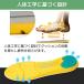 �C���\�[�� �Ռ��z�� ���~�� ���E�Z�b�g ������ ���ɂ��� �G���� �X�j�[�J�[ �X�|�[�c �����j���O�C �����Y ���f�B�[�X ���ǂ� �ᔽ�� �����d�� �E�H�[�L���O �֘A�摜4