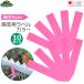  безопасность 3 садоводство для этикетка садоводство этикетка tanzaku type .... розовый 10 листов входит 9cm 15×90mm сделано в Японии вид .. сад этикетка цветок этикетка 