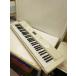 CASIO* клавиатура LK-526/ свет навигация //
