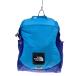 THE NORTH FACE* Kids сумка /NMJ71802//