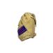 Rawlings* бейсбол сопутствующие товары / правый выгода . для /BEG/GH3PRJ205FB