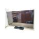 Panasonic* незначительный модели телевизор * жидкокристаллический телевизор VIERA TH-32F300 [32 дюймовый ]//