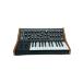 MOOG* синтезатор /Subsequent 25