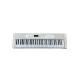 CASIO* клавиатура LK-520//