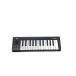 KORG* клавиатура /MICROKEY2-25AIR
