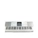 CASIO* клавиатура LK-516//