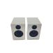 Audioengine*Bluetooth динамик A2+ WIRELESS SPEAKER SYSTEM высокий блеск * белый краска //