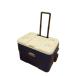 Coleman* cooler-box /XTREME5