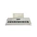 CASIO* клавиатура LK-222//