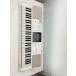 CASIO* клавиатура LK-516