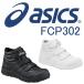 CP302 EBWuinCJbgExgdlj ASICSiFCP302AVbNXEasicsjSCESXj[J[ 22.5cm`30.0c