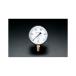 ESCO ¬ G 3/8/100mm/0-1.5MPa Ϸ  Х  ư ž