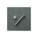  regular goods |DURA-BOLT all-purpose anti-theft cap * bolt TRX bolt button type (2 pcs insertion ) M6x40mm pitch 1.0mm/304 stainless steel...