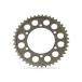 SUNSTAR ץåȴϢѡ ꥢץå ߡʥ󥵥530  43 󥹥 Х
