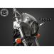 T&amp;F Eliminator 250V обтекатель * обвес Eliminator 250V combat обтекатель с экраном & bird мера покрытие SET( карбоновый рисунок / черный )ga...