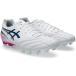 ASICS обувь вид 1103A125 DS LIGHT ADVANCE WIDE( белый / цифровой Sakura ) размер 26.0cm Asics 