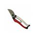 okatune ���p�i ���������j�[�N 210mm BP ��104 ���P