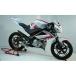 S2 Concept YZF125 обтекатель * обвес Radiator Scoops YZF125 l Y124 S2 концепция 