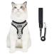 Angelpet �L�p �n�[�l�X �L �n�[�l�X �����Ȃ� �˂� ���� ���[�h�t�� �ʋC���b�V