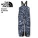 THE NORTH FACE North Face NS62204 FL RTG BIB SM 22-23 панель одежда мужской брюки bib Future свет ski board ST