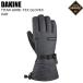 DAKINE Dakine BF237710 TITAN GORE-TEX GLOVES CAR лыжи сноуборд перчатка перчатки Gore-Tex 5 пальцев ST