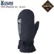 VOLUME объем PERFORMANCE NS Performance BLACK сноуборд перчатка перчатки рукавица Gore-Tex 26-27 модель ST. покупка 