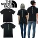 �U �m�[�X�t�F�C�X The North Face T�V���c ���� �o�b�N���S NF0A8GV1/NF0A8EE7 �o�[�`�J�� �����Y ���f�B�[�X M VERTICAL REGULAR SHORT SLEEVE TEE-GRAP �֘A�摜3