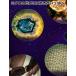 ������ �q�� ������ �n���f�B������ 60�`120�{ ���w�� ���R���� ��O�ώ@ � LED���C�g���� ����т��傤 �R���p�N�g �ώ@ �������� �֘A�摜2