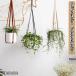  искусственная кожа план to вешалка подвешивание ниже закрытый растения mak ламе декоративное растение подвешивание ниже трос висячий посадочная машина бесплатная доставка 