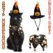  Halloween костюмированная игра 2 позиций комплект кошка собака домашнее животное костюмы шляпа бесплатная доставка 