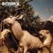 ͢���� INTERPOL / OUR LOVE TO ADMIRE [CD]
