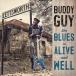 ͢ BUDDY GUY / BLUES IS ALIVE AND WELL [CD]