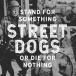 ͢���� STREET DOGS / STAND FOR SOMETHING OR DIE FOR NOTHING [CD]