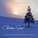 ͢ DAVID ARKENSTONE / CHRISTMAS SPIRIT  AN INSTRUMENT [CD]