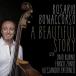 ͢ ROSARIO BONACCORSO / BEAUTIFUL STORY [CD]