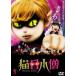  кошка глаз маленький .[DVD]