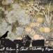 HUNTING PIGEONS / Dont Blame a Comet [CD]