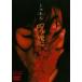 ..[DVD]