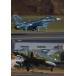F-2&F-4 demo полет * специальный Vol.4 [DVD]