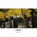 WALTZMORE / Reunion [CD]