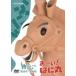 ������!�Ϥ˴� �Ҥ�٤�BOX��DVD-BOX ������ [DVD]