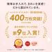 ���C��t�B���^�[ �X�^�[�t�B���^�[ �����W�t�[�h�t�B���^�[ �����p 1�� [297x340mm�g�p] �s�R�� �K���X�@�� ���� �ʋC�����ǂ������� �֘A�摜2