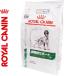 CJi T|[g hC p 8kg ROYAL CANIN xei[_CGbg