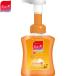 薬用ミューズ 泡ハンドソープ フルーティフレッシュの香り 本体 250mL ＊医薬部外品 レキットベンキーザー ミューズ