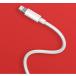 �y�T�}�[SALE(18%OFF+�|�C���g����) MFi�F�؍ρz ZMI lightning 100cm ���C�g�j���O �P�[�u�� Apple iPhone 14/13/12/X iPad �}���[�d �f�[�^�]�� AL813C �֘A�摜3
