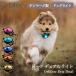 Orbiloc �I���r���b�N �h�b�O �f���A�����C�g Dog Dual Light �f���}�[�N�����C�g ���U�����C�g ���S�h�� �铹 ���S ���̖h�~