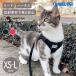 Travel CAT путешествие кошка "The True Adventurer" Reflective Cat &amp; Kitten Harness and Leash Harness &amp; Lead комплект кошка . кошка уличный через .