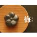 �암�S�� �a�َq�� �S�� �~ �� �����~ �S���⋋ ���Y �암�S�� �S�ʎq �y�x �암�󐶓� �N���t�g �`���H�|�i �l�R�|�X�Ή� �֘A�摜1
